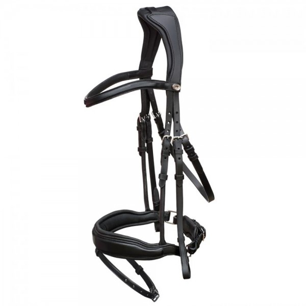 SchockemÃ¶hle Stanford Leather Bridle