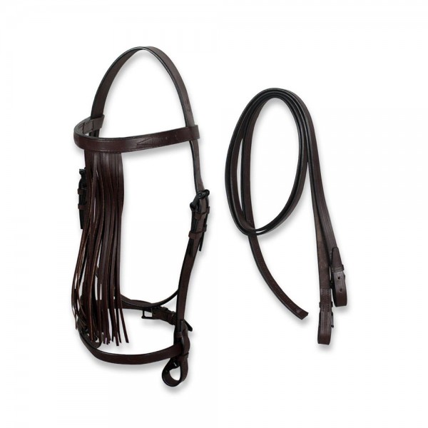 Spanish Bridle With 