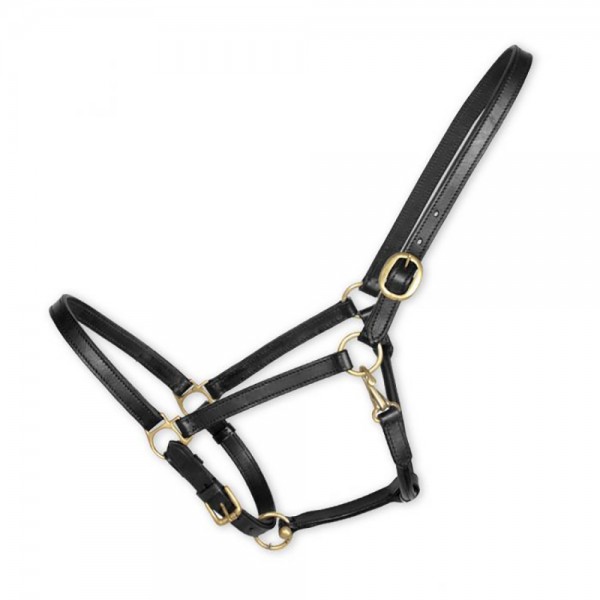 Double Leather Halter