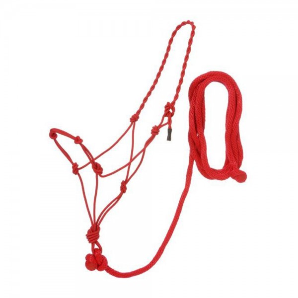 Poly Rope Halter Wit