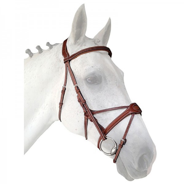 Silver Crown Spider Noseband