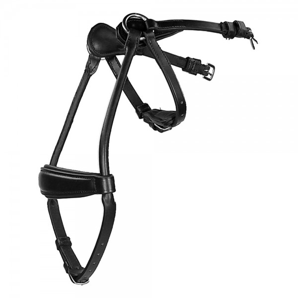 Noseband Horsegear Aquila