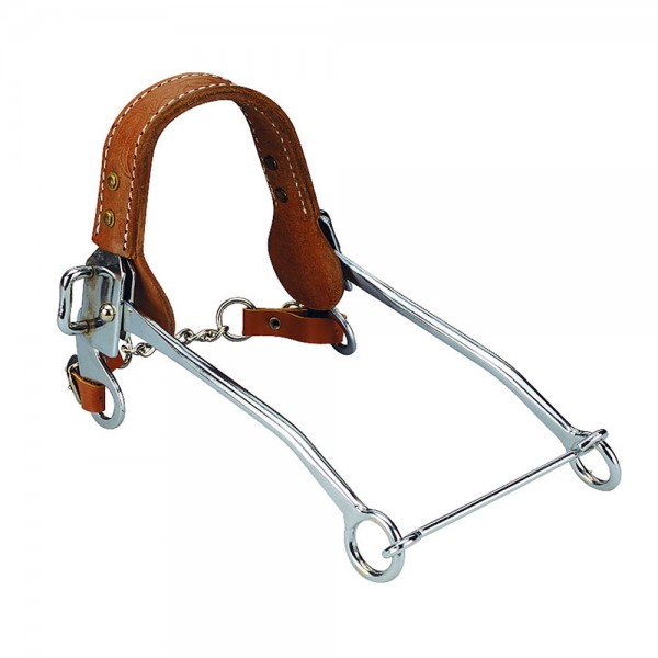 Hackamore Bit