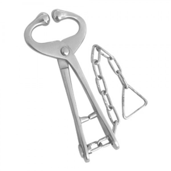 S/S Bull Holder With Chain 